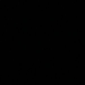 Meet your Posher, Manoluck